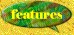 Froggies® Special Features