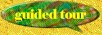 Froggies® Guided Tour